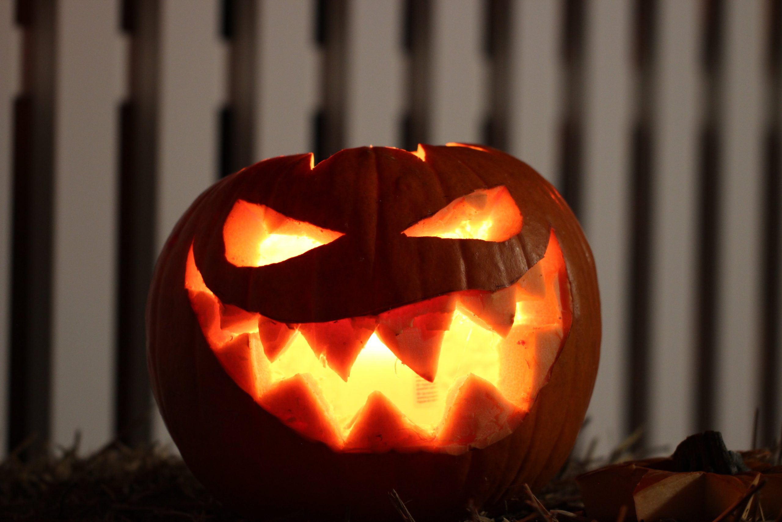 Halloween – Süßes oder Saures? Spaß oder Ernst?
